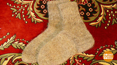 Самые теплые носочки. Доброе утро. Фрагмент