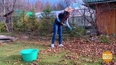 Осенние хлопоты на даче. Доброе утро. Фрагмент 
