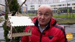 Добрые дела полезны для здоровья! Доброе утро. Фрагмент 