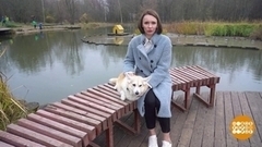 Шейпинг для собак. Доброе утро. Фрагмент