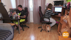 Как правильно просить. Доброе утро. Фрагмент