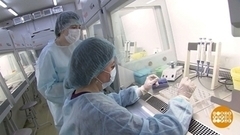 Коронавирус: откуда берутся новые штаммы? Доброе утро. Фрагмент