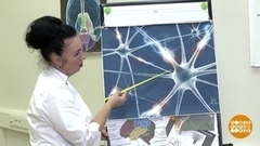 Почему мы все забываем? Доброе утро. Фрагмент 