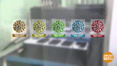 Почему мутируют вирусы? Доброе утро. Фрагмент 