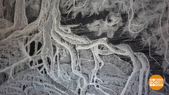 Рисуем... марлей. Доброе утро. Фрагмент 