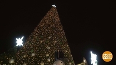 Самые-самые елки. Доброе утро. Суббота. Фрагмент