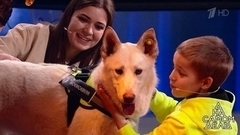 "Ибрагим нашел еще одного члена банды", – трогательная встреча в студии. На самом деле. Фрагмент