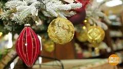 Рождественская елка  и новогодняя: найди десять отличий. Доброе утро. Фрагмент