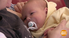 Сколько счастья народилось! Доброе утро. Фрагмент 