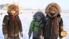 Мы морозов не боимся! Доброе утро. Фрагмент 