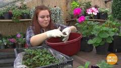 Выбираем грунт для рассады. Доброе утро. Фрагмент 