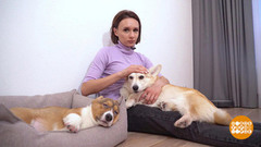 Плюша знакомится с Корицей. Доброе утро. Фрагмент 