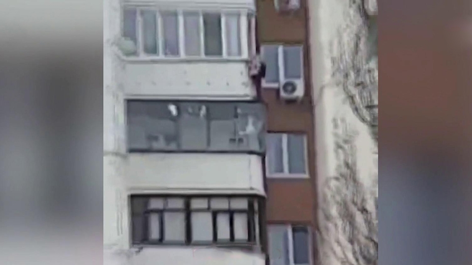 Местные заметили. Белгород в человека на балконе попал салют. Сюжет на ТВЦ белочки взбираются на балкон 8 этажа поесть.