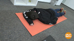 Трудоголики, отдохните! Доброе утро. Фрагмент 