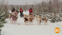 Зимние забавы. Доброе утро. Суббота. Фрагмент 