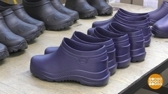 Такие разные калоши. Доброе утро. Фрагмент 