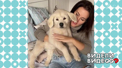 Куклы как живые! Видели видео? Фрагмент 