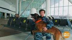 Транспортная полиция меня бережет. Доброе утро. Фрагмент 