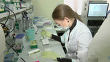 Россияне могут получить электронный сертификат по результатам теста на антитела к коронавирусу