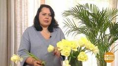 Не тревожьтесь! Доброе утро. Фрагмент 