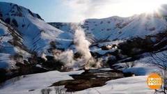 Здравствуй, дикая природа! Доброе утро. Фрагмент 