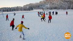 Солнечные выходные: чем заняться. Доброе утро. Фрагмент