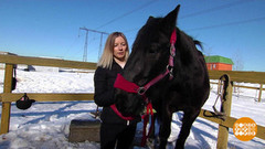 Зоотерапия. Доброе утро. Фрагмент