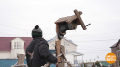 Хоромы для птичек. Доброе утро. Суббота. Фрагмент 