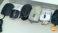 Мышки: такие разные, но все — компьютерные... Доброе утро. Фрагмент