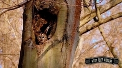 Что? Где? Когда? Весенняя серия игр. Анонс