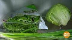 Покупная зелень: польза есть? Доброе утро. Фрагмент 