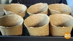 Выбираем горшки для рассады. Доброе утро. Фрагмент 