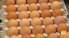 Куриные яйца: как сэкономить? Доброе утро. Фрагмент 