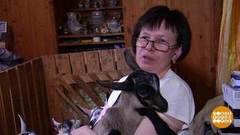 Я бы в фермеры пошел… Доброе утро. Фрагмент 