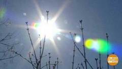 Во всем погода виновата? Доброе утро. Фрагмент 