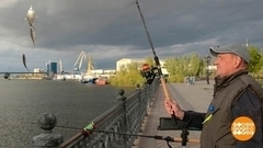 Ловись, вобла, большая и маленькая! Доброе утро. Фрагмент 