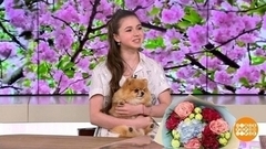 Камила Валиева: что дальше? Доброе утро. Фрагмент