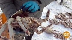 Браконьеры не пройдут. Доброе утро. Фрагмент 