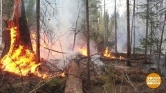 Лесной пожар: избежать легче, чем потушить. Доброе утро. Фрагмент 
