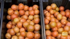 Овощей будет больше! Доброе утро. Фрагмент