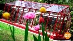 Зонируем теплицу. Доброе утро. Суббота. Фрагмент