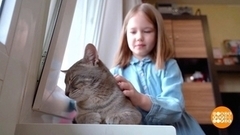 Если кот царапается… Доброе утро. Суббота. Фрагмент