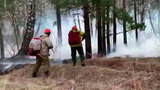В российских регионах огонь охватил уже 44 тысячи гектаров