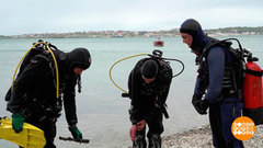 Генеральная уборка водоемов. Доброе утро. Фрагмент 