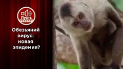 Обезьяний вирус: новая эпидемия? Пусть говорят