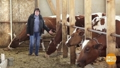 Кому положен «Агростартап»? Доброе утро. Фрагмент 