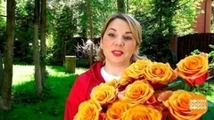 Выращиваем розы из старых черенков. Доброе утро. Суббота. Фрагмент 