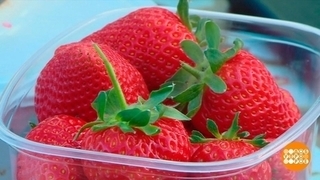 Первое летнее варенье. Доброе утро. Фрагмент