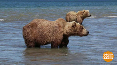 Россия — страна рекордов. Доброе утро. Суббота. Фрагмент 