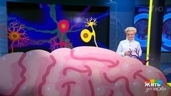 Головная боль на нервной почве; чурчхела; болезни от домашних кошек; скорая помощь в бане. Жить здорово! 